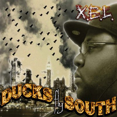 ducks fly south album cover